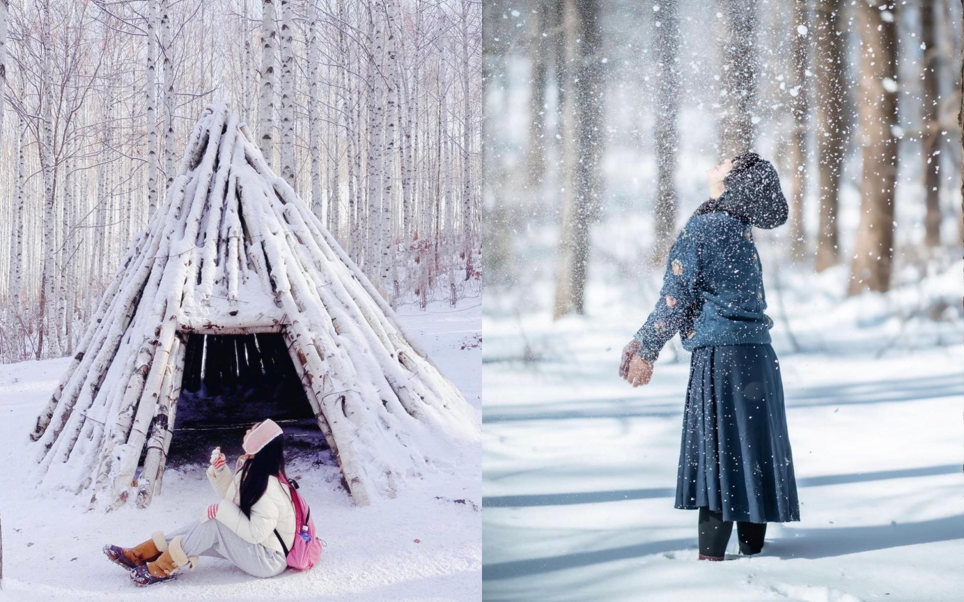 겨울 왕국으로 초대한다랭❄️ 강원도 겨울 스팟 2곳