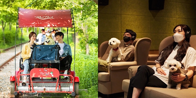 이젠 댕댕이랑 같이 갈 수 있다랭🐶 반려견 동반 놀 거리 2곳