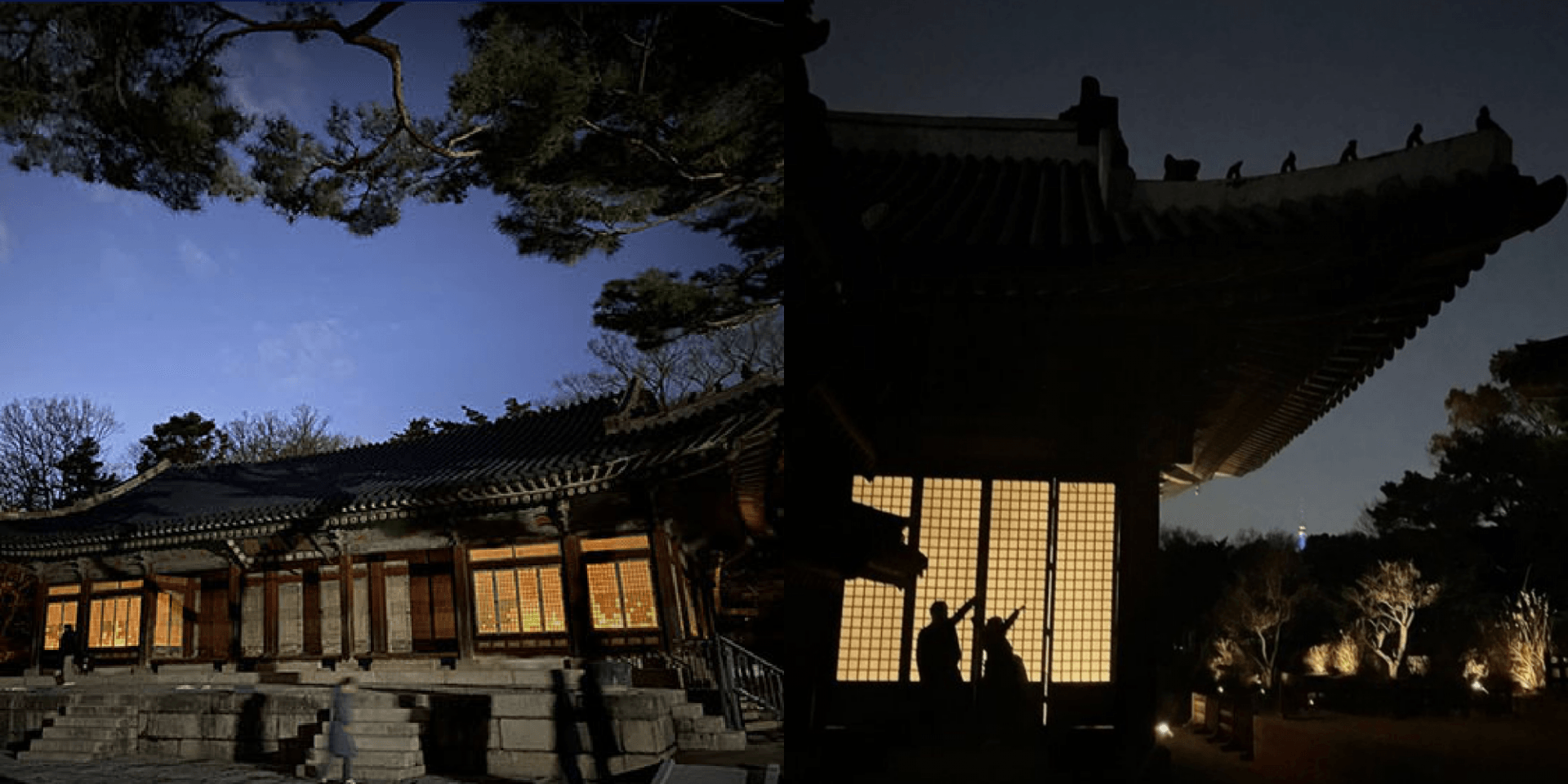여름에 빠지면 서운할 납량특집👻