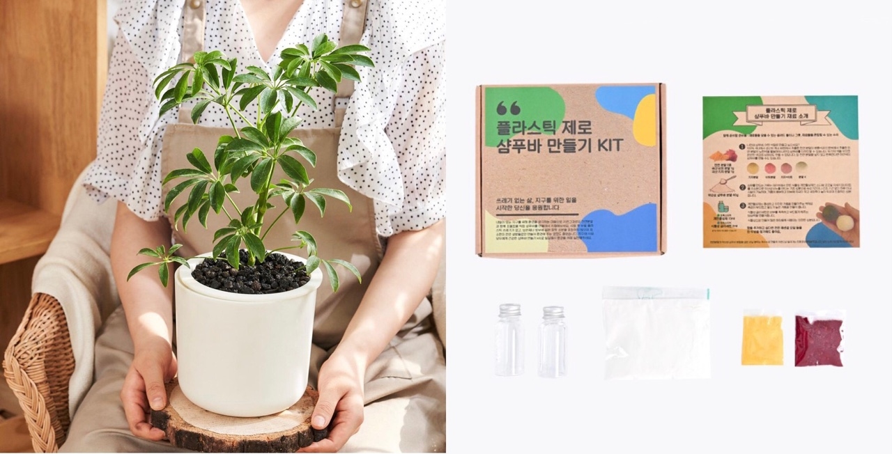 함께 나무를 심고, 숲을 만들자랭🌳