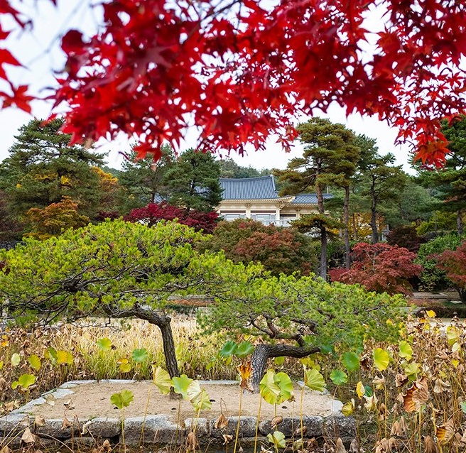 올 가을 단풍놀이는 여기로 갈랭
