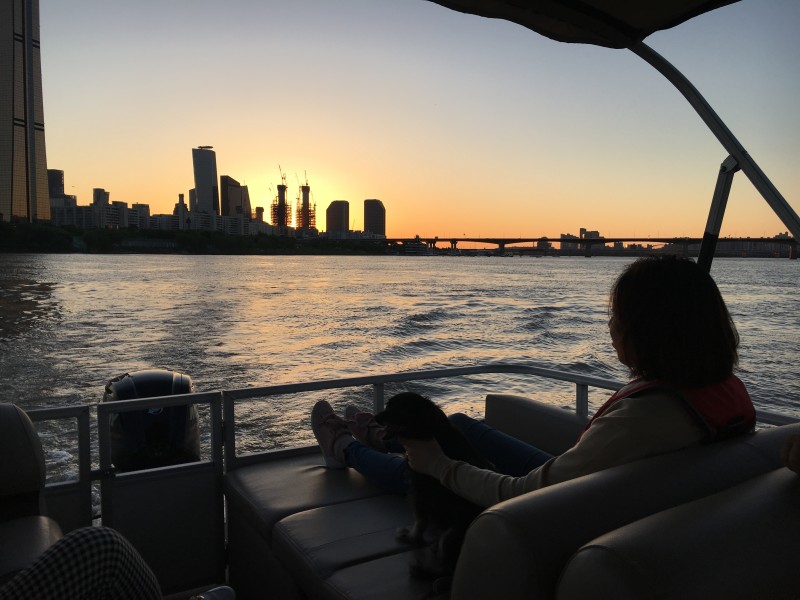 카페지만 요트를 곁들인⛵한강뷰 요트체험 카페