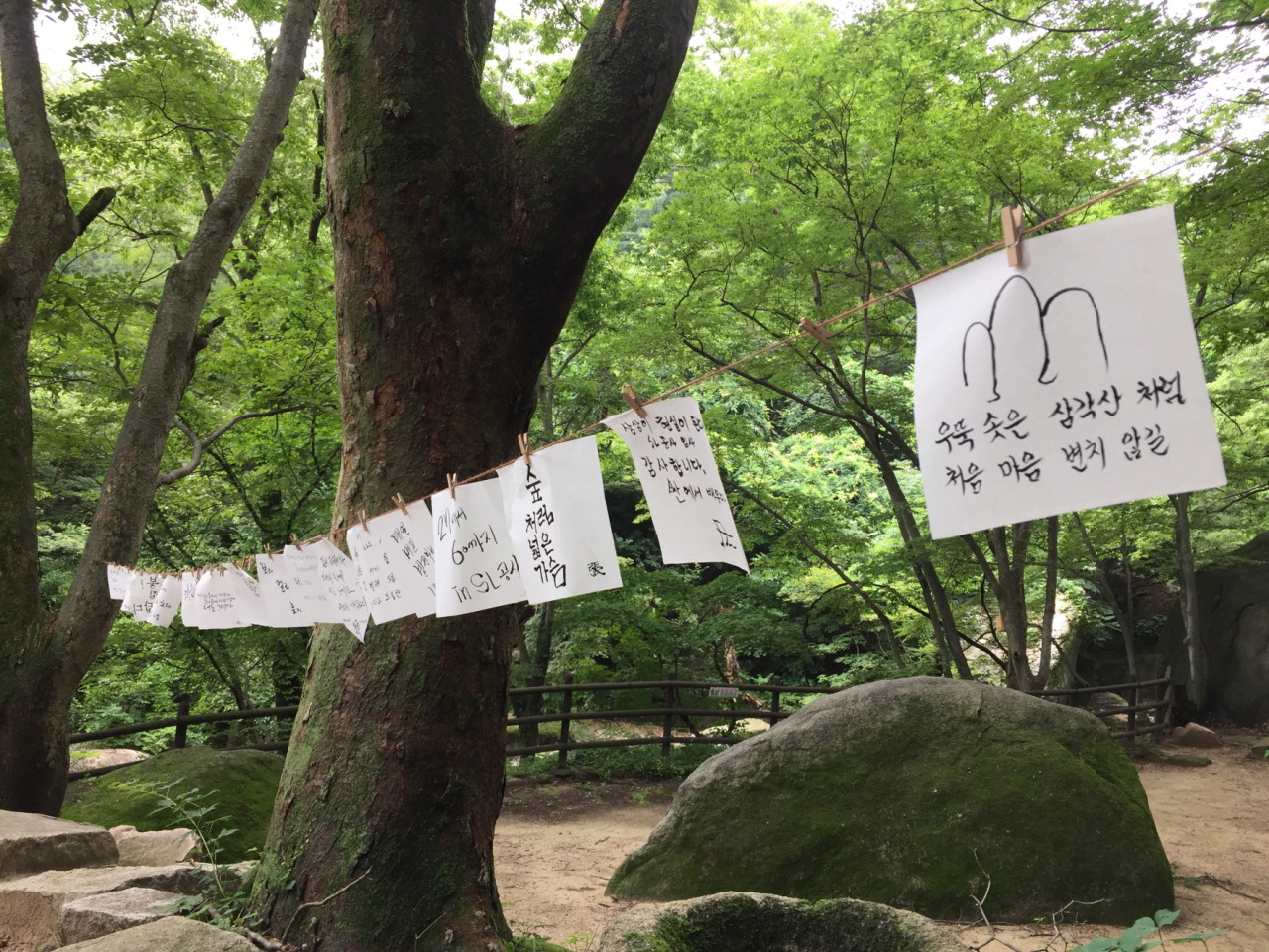 대중교통으로 직접 다녀온 여행지 추천 by. 단이