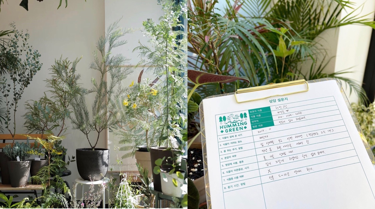 봄맞이 반려 식물 입양하기🌿
