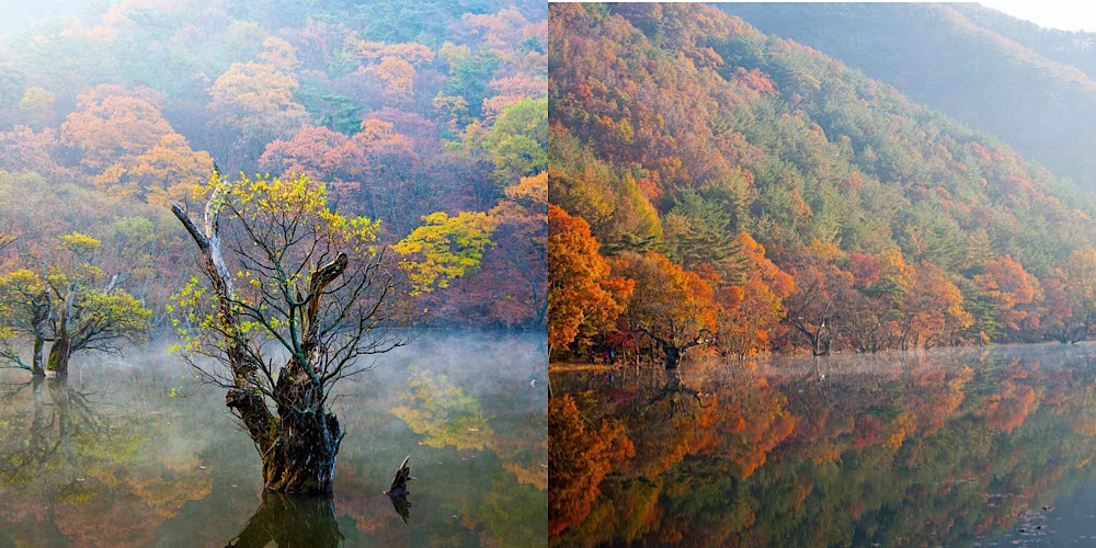 사과보다 좋은 가을 청송 여행