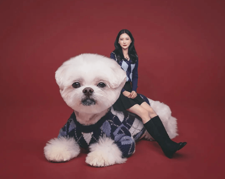 거대해서 거대하게 귀여운🐶 자이언트 펫 사진관