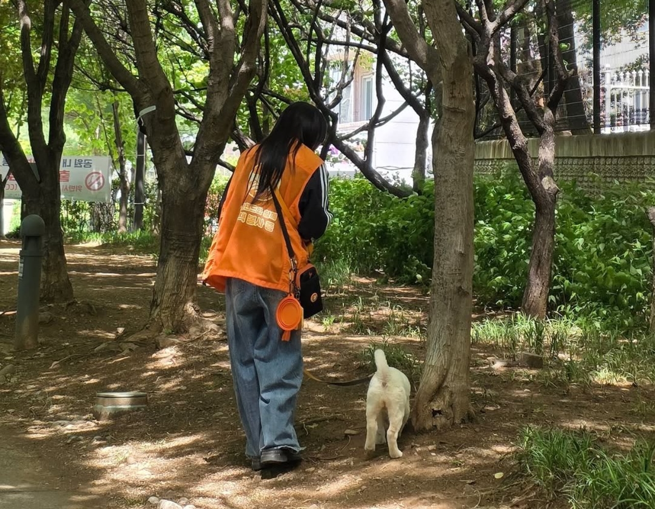 이런 봉사라면 100번도 할래🐾 포인핸드 유기견 산책 봉사