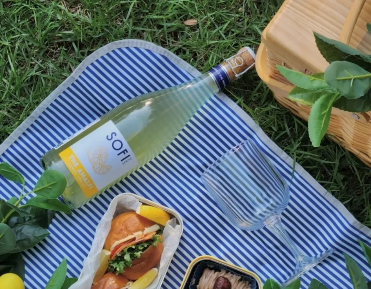 가을 한강 나들이 어때? 레몬 피크닉 세트로 상큼하게 즐기자 🍋