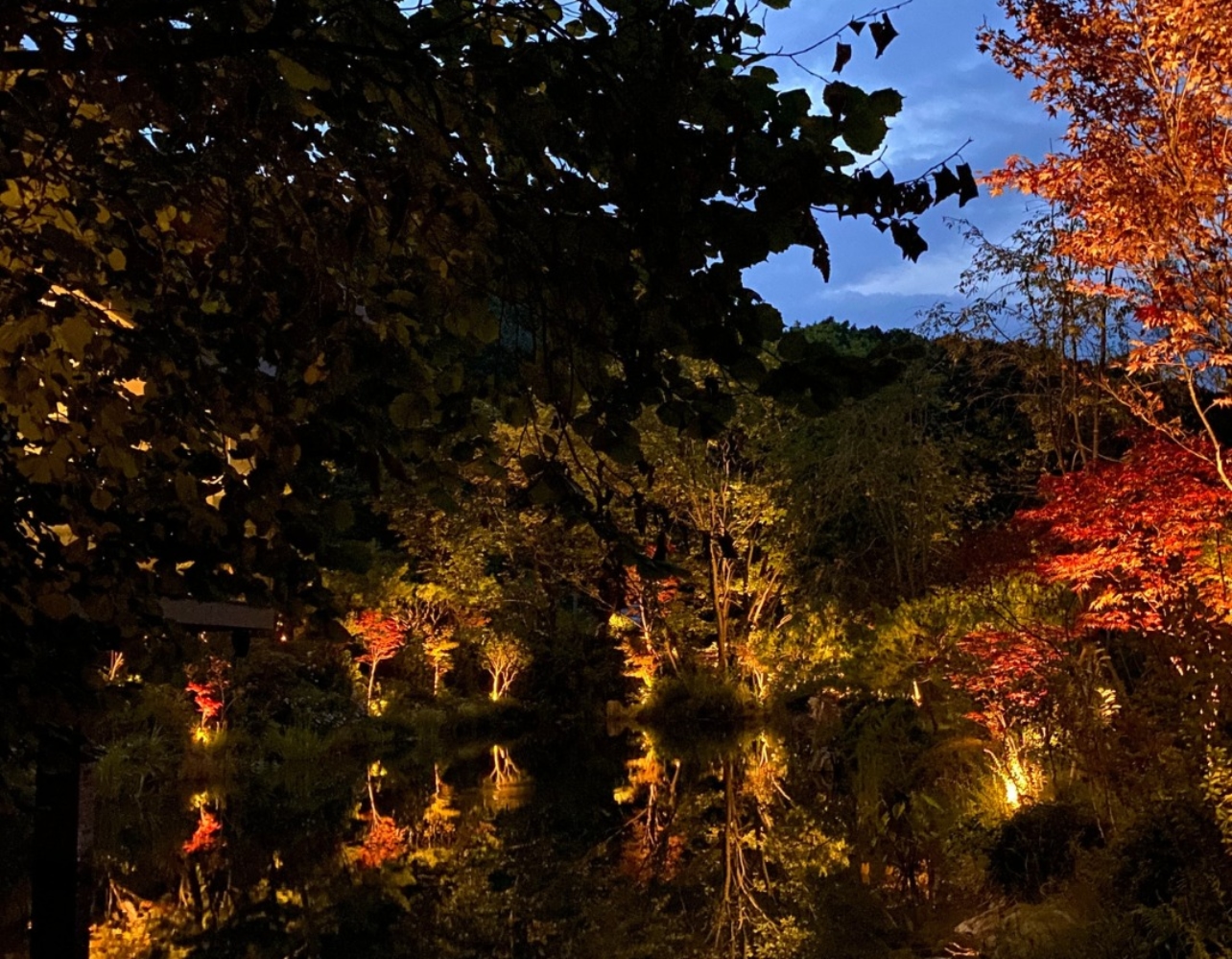 서울 근교 프라이빗 숲캉스🌳 예약제 비밀의 숲