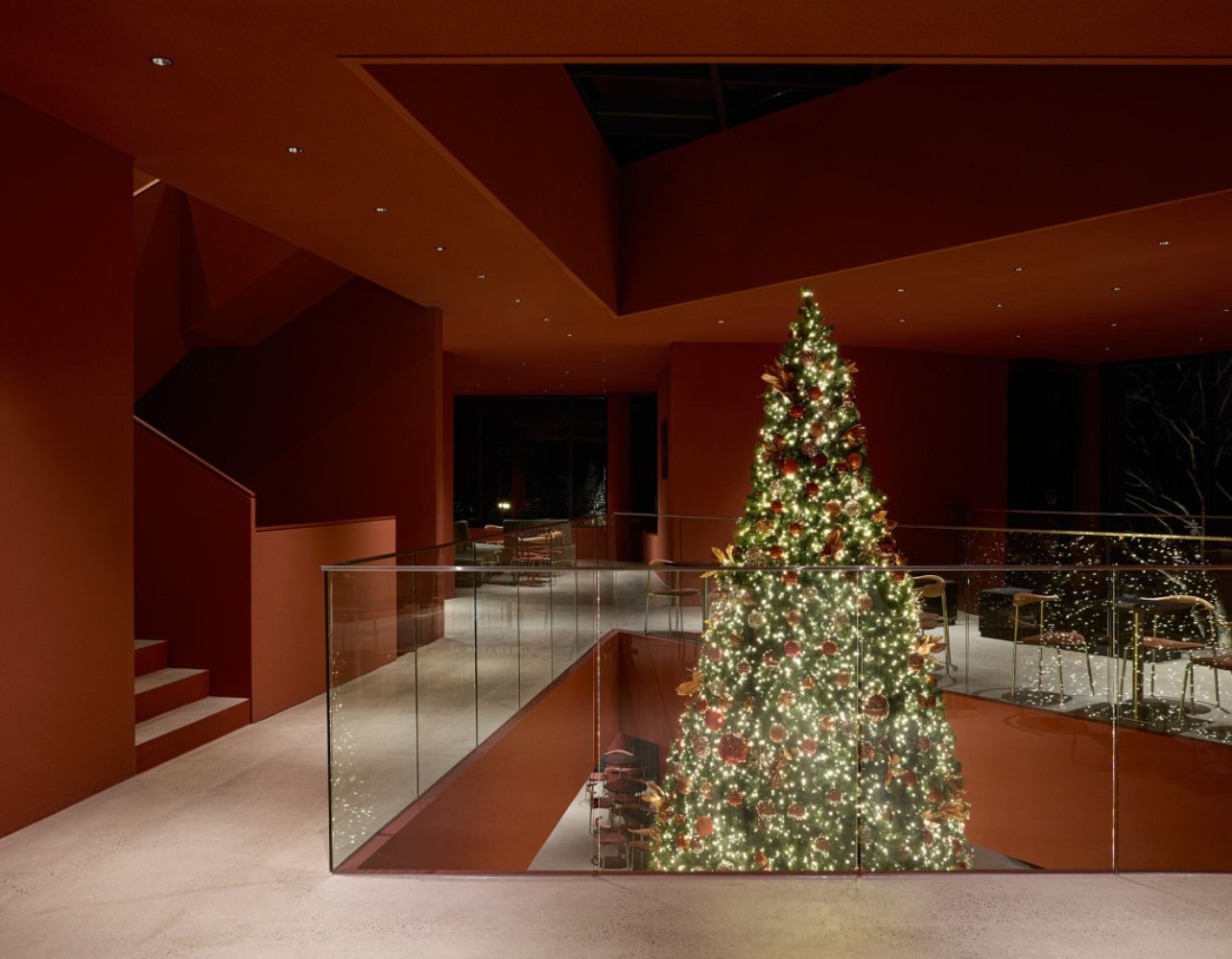 올겨울 인생샷 스팟, 크리스마스 트리 카페 