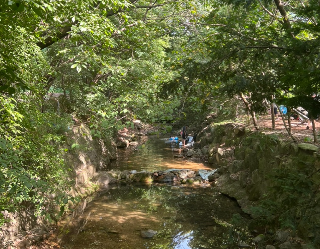 이번 주말 여름 데이트는 은평으로 가자 🍃