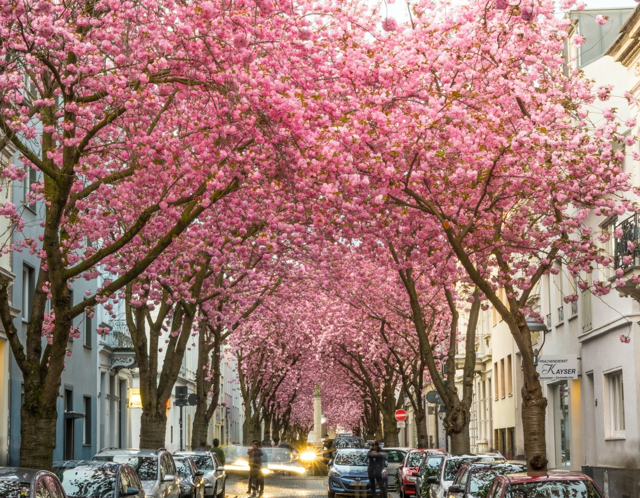 전국 축제 한눈에 볼랭? 주말토리표 봄 축제 지도