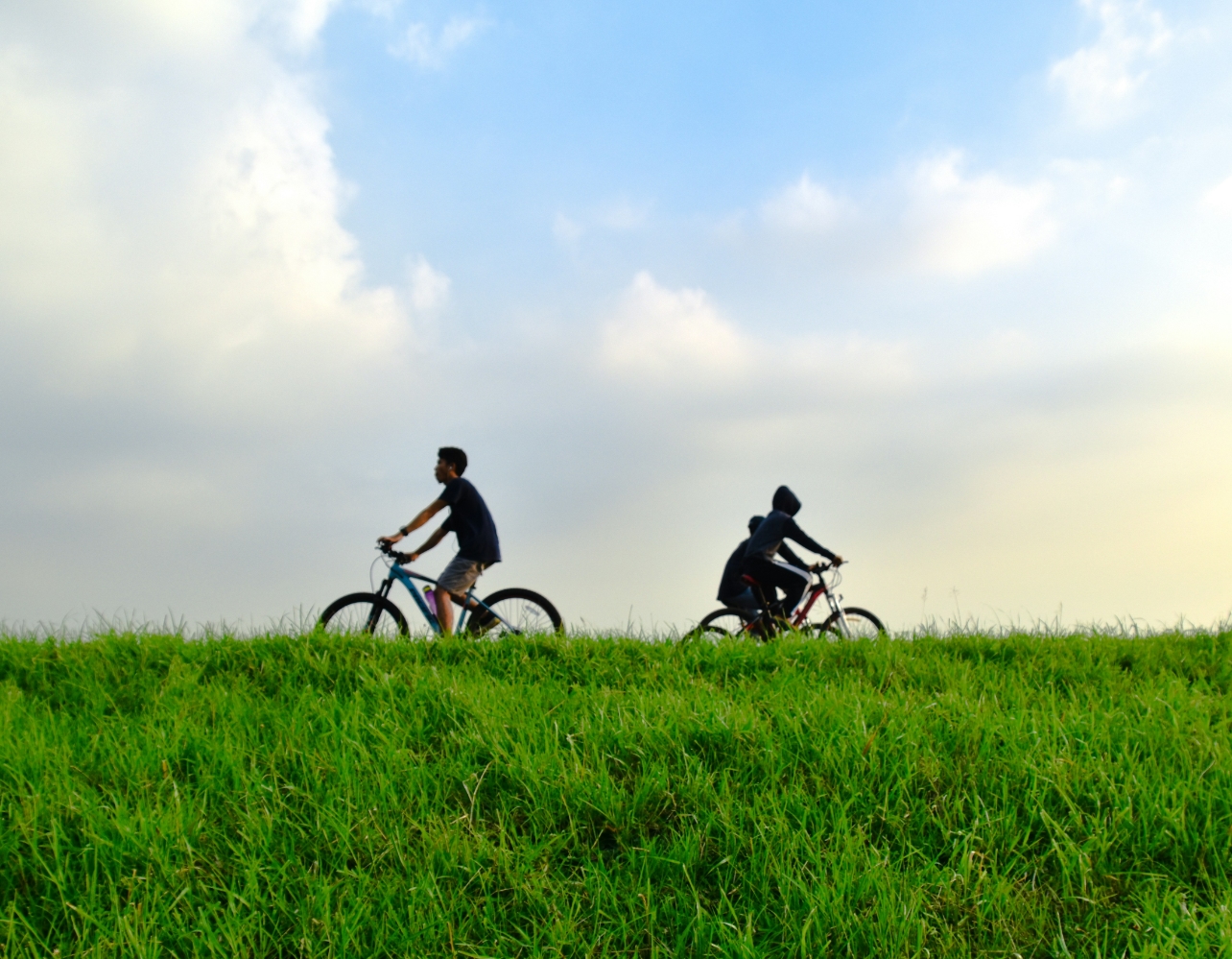 자전거 타기 좋은 계절🚲 전문가가 만든 전국 라이딩 코스