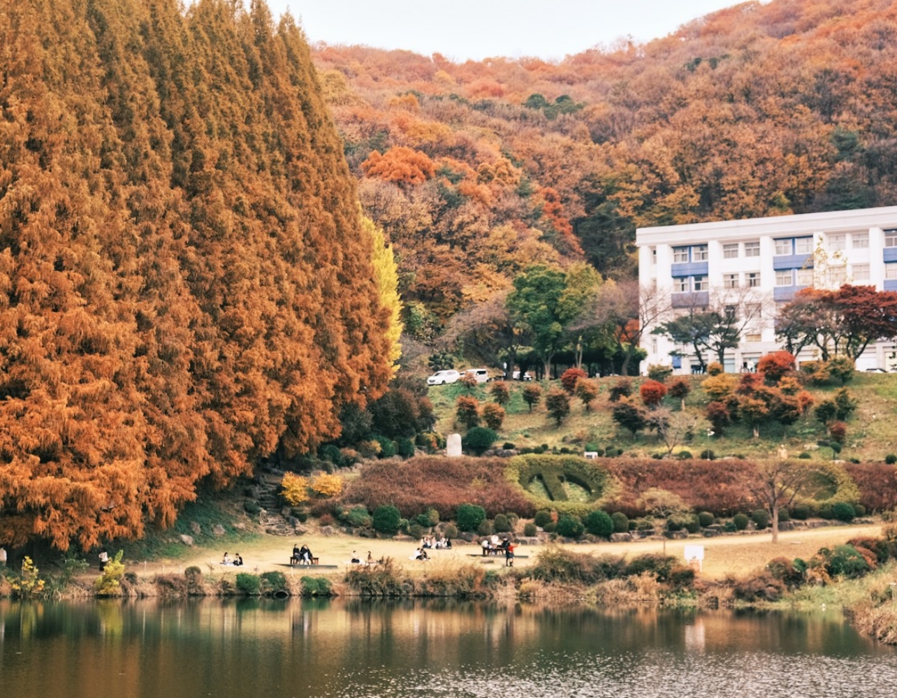 나 왜 이 가을이 영원할 것만 같지? 영원할 건가 보다🍁