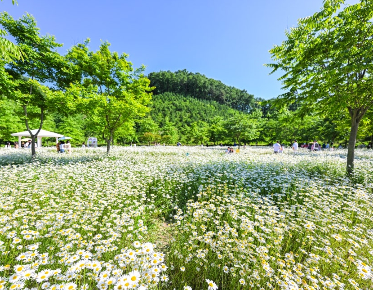 5월 함안 여행이 핫한 이유, 여기 다 있다랭 🌺