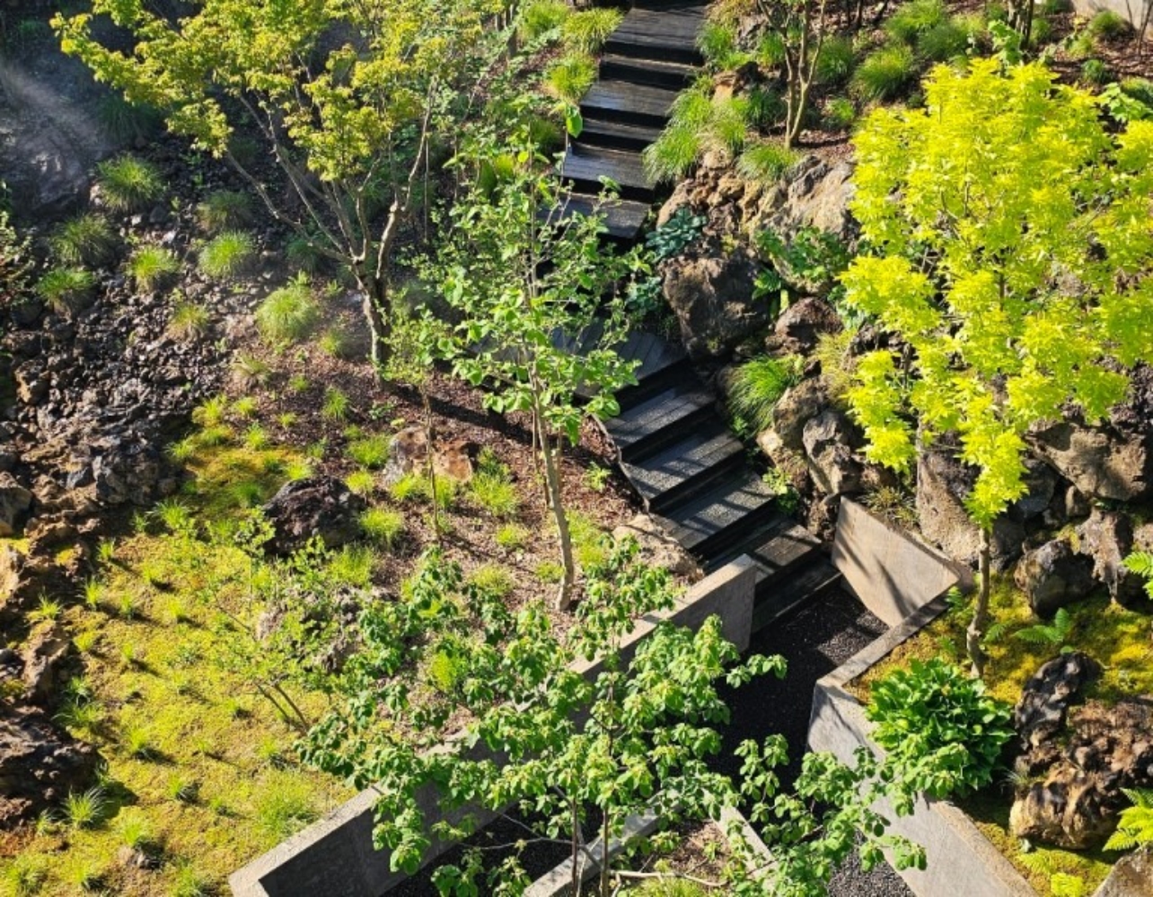 벚꽃 보러 가기 전 필독! 건축 매거진 pick 카페 리스트