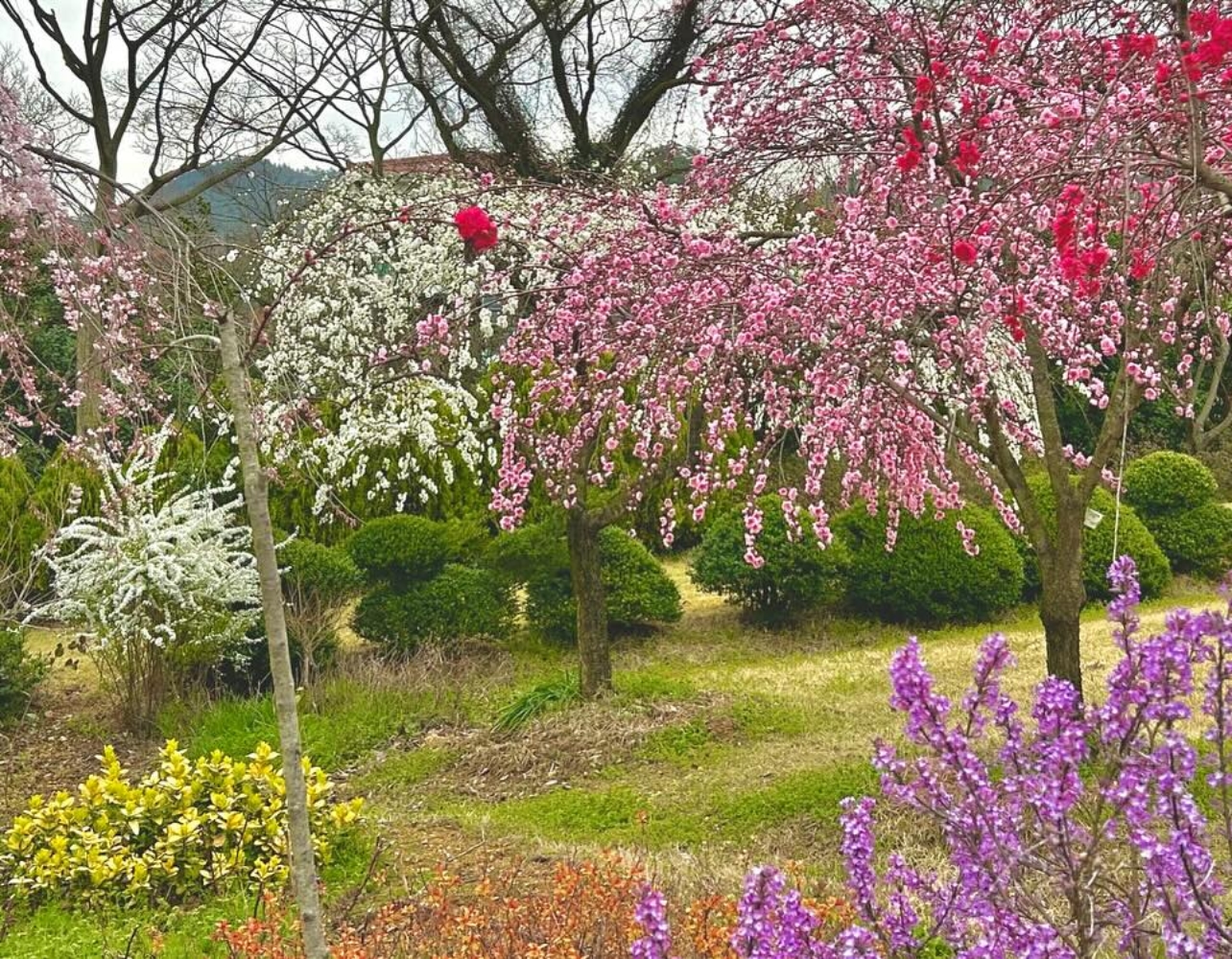 기차는 무료, 여행 경비는 반값💸 해남 추천 코스