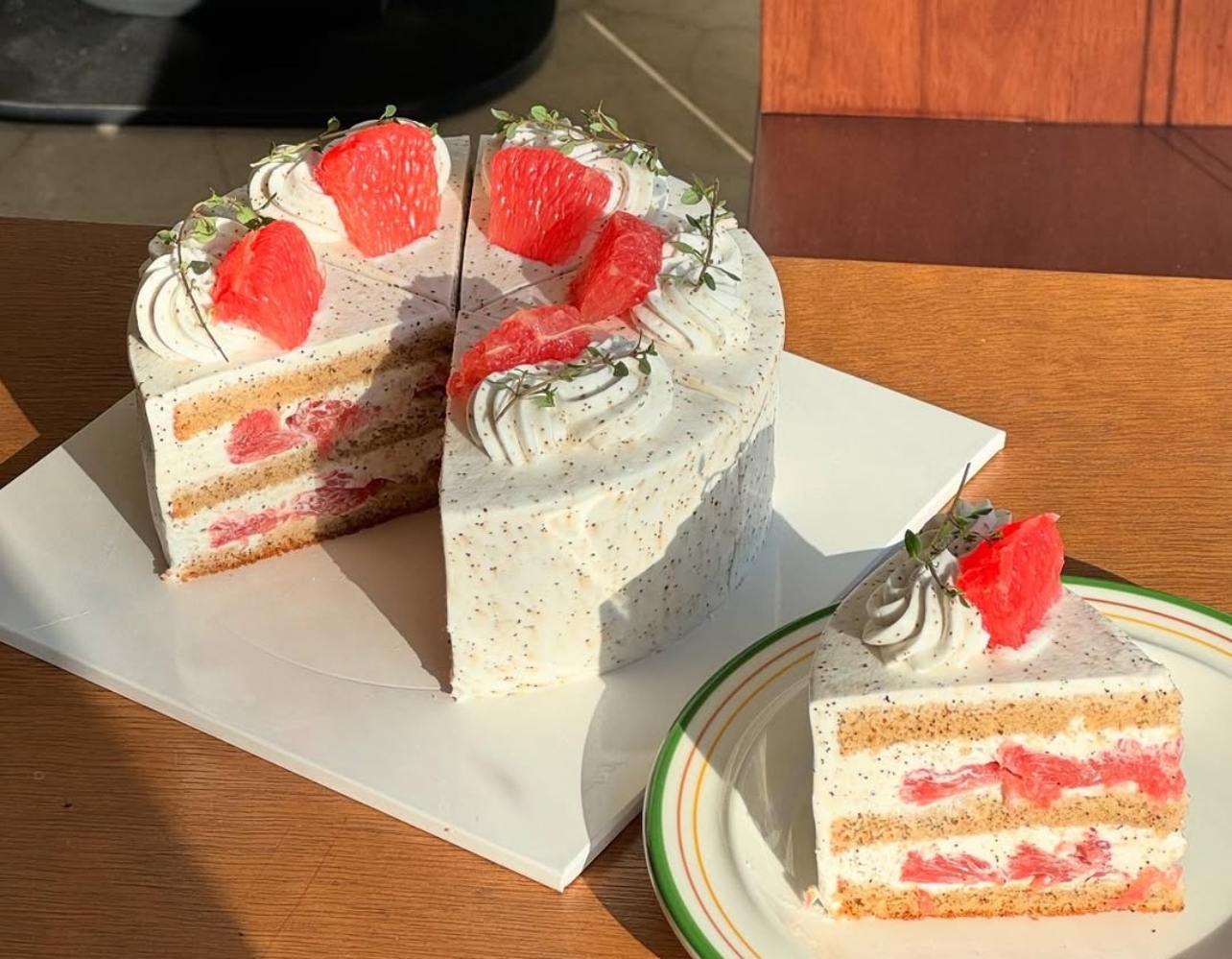 크리스마스 케이크 여기서 골라봐 🎂 케이크 맛집 추천