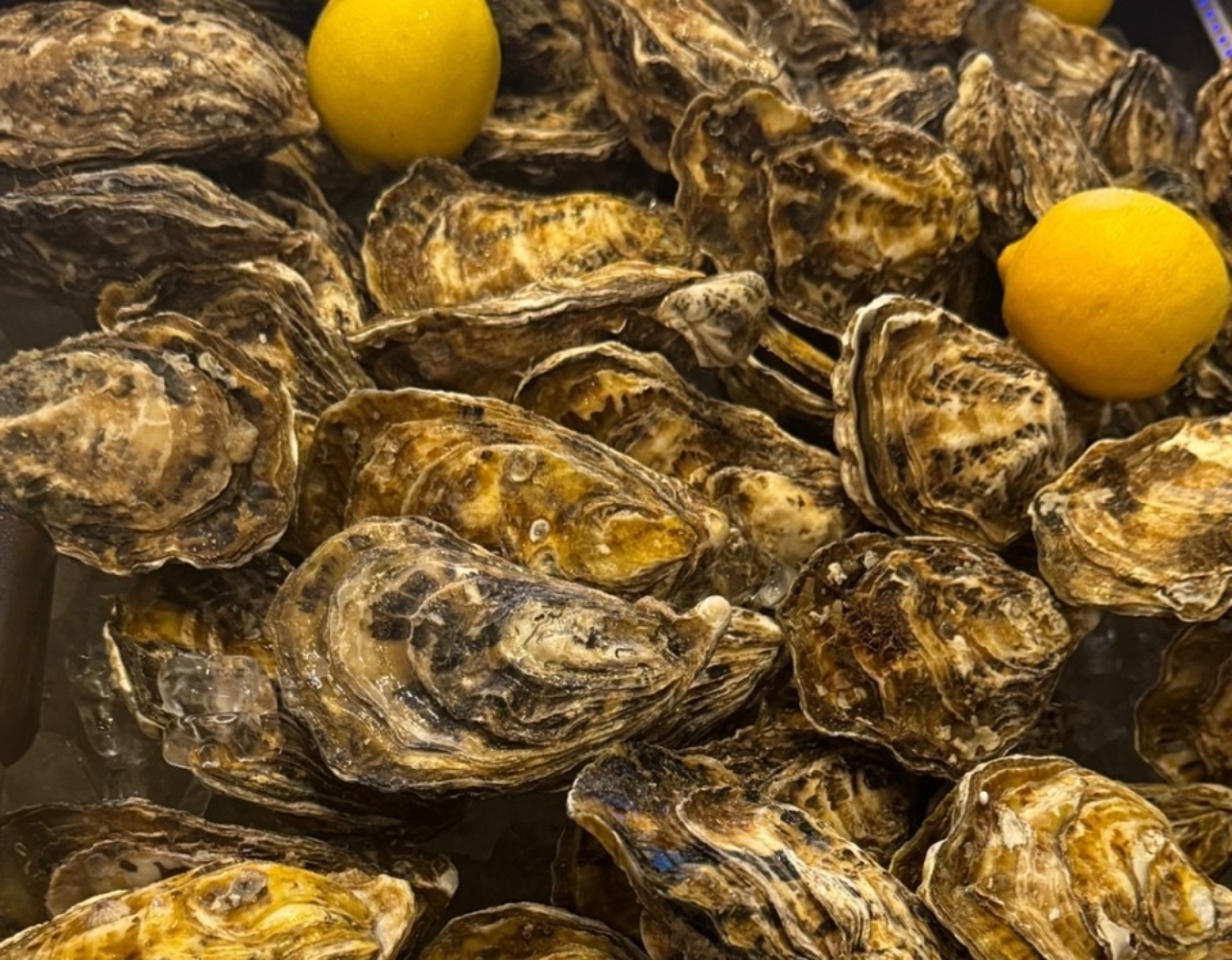 제철 맞은 굴 먹자 🦪 수도권 굴 요리 찐맛집 3
