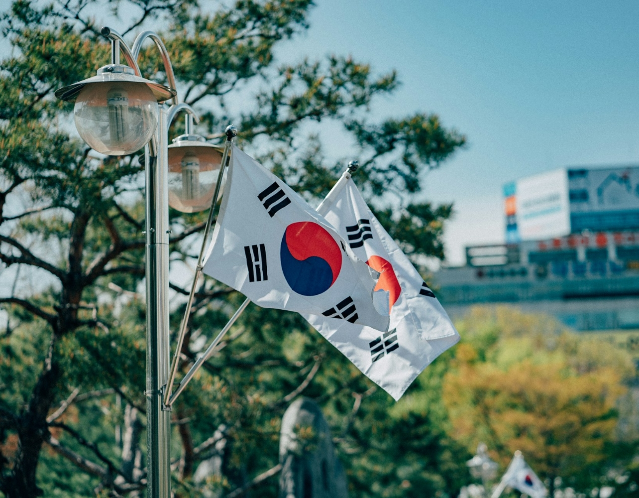 광복절 특집🇰🇷 세상 가득 울려 퍼지던 만세 소리처럼