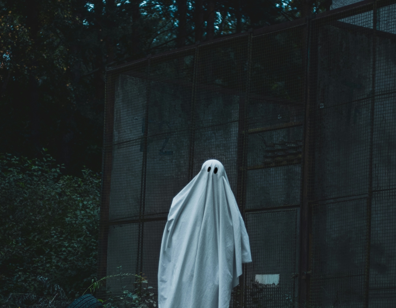 빨간 휴지 줄까, 파란 휴지 줄까 🧟‍♀️ 서울 공포 체험 2