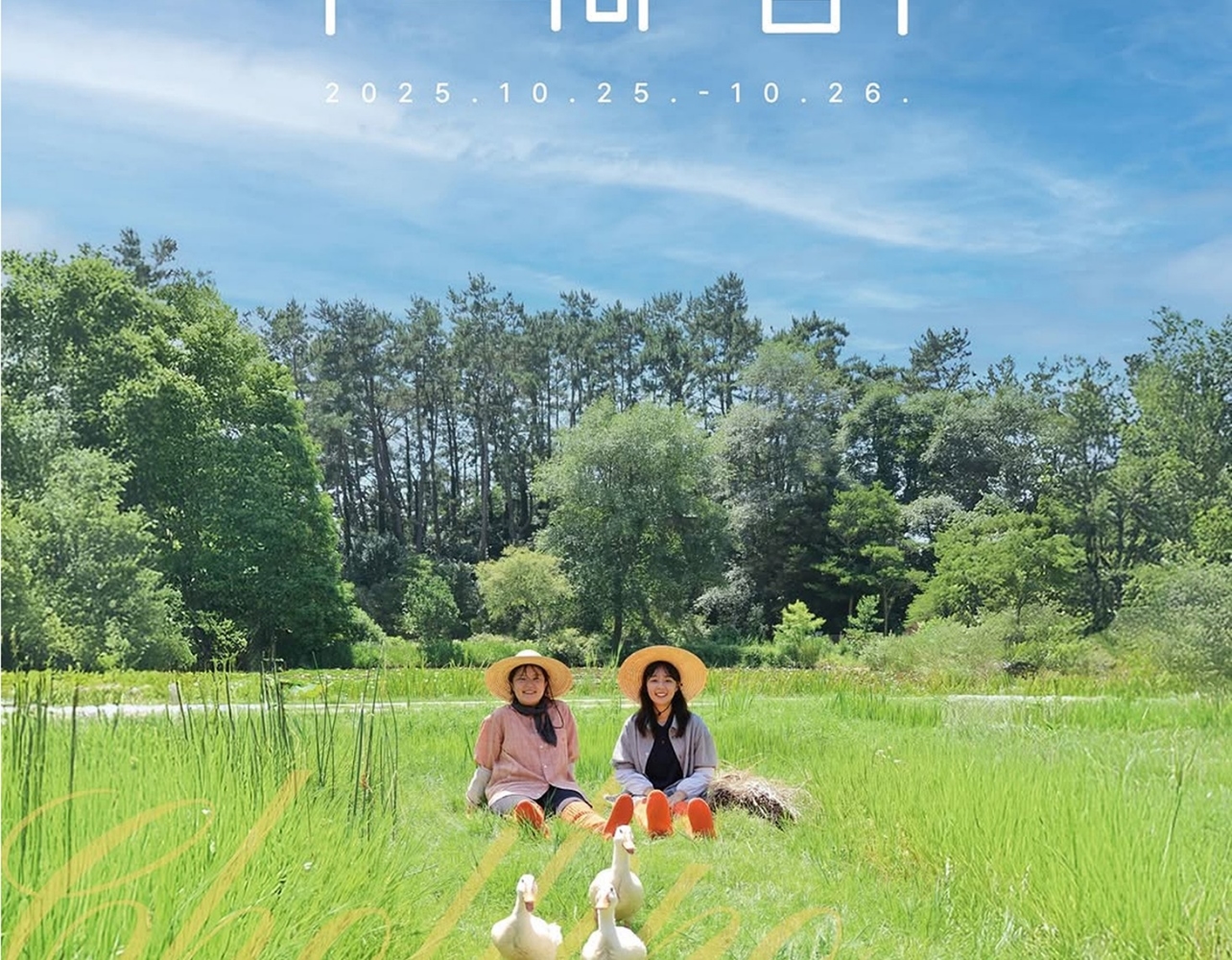 이번 주말 꼭 가야 할 가을 전시 3곳, 단기 팝업 & 북페어 🍂