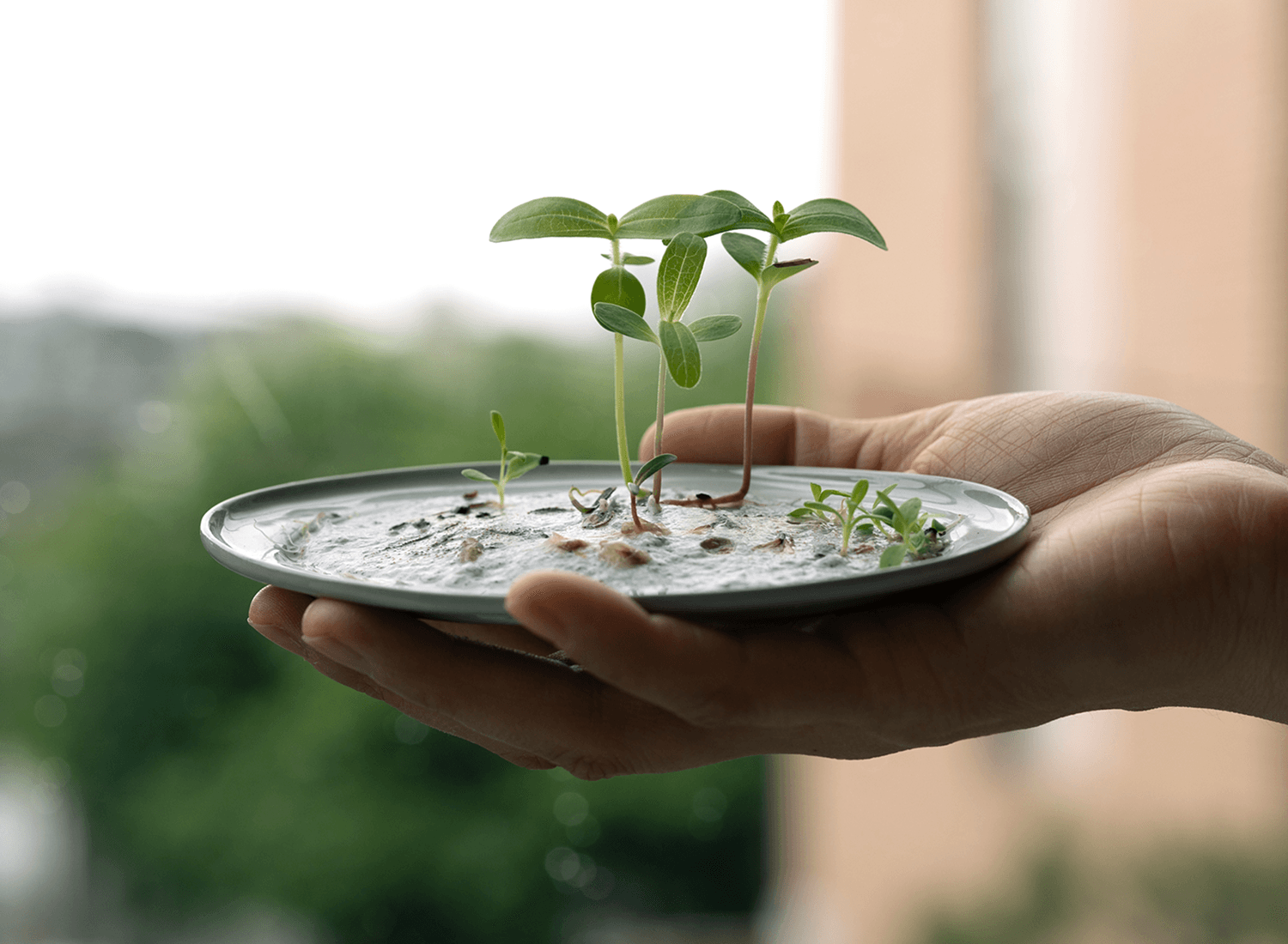 어여쁜 내 종이를 봐요 🌱 씨드키퍼 씨앗 페이퍼 워크숍
