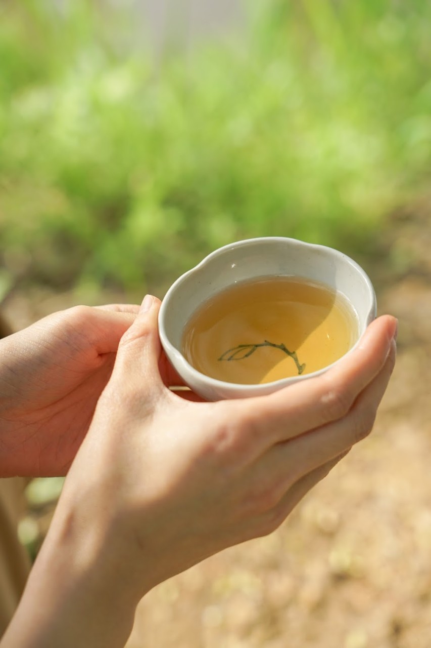 봄바람 살랑 불어올 땐 차 명상🍵 루하루