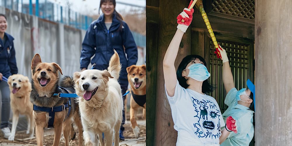 뭐하지 콘텐츠 배너 이미지