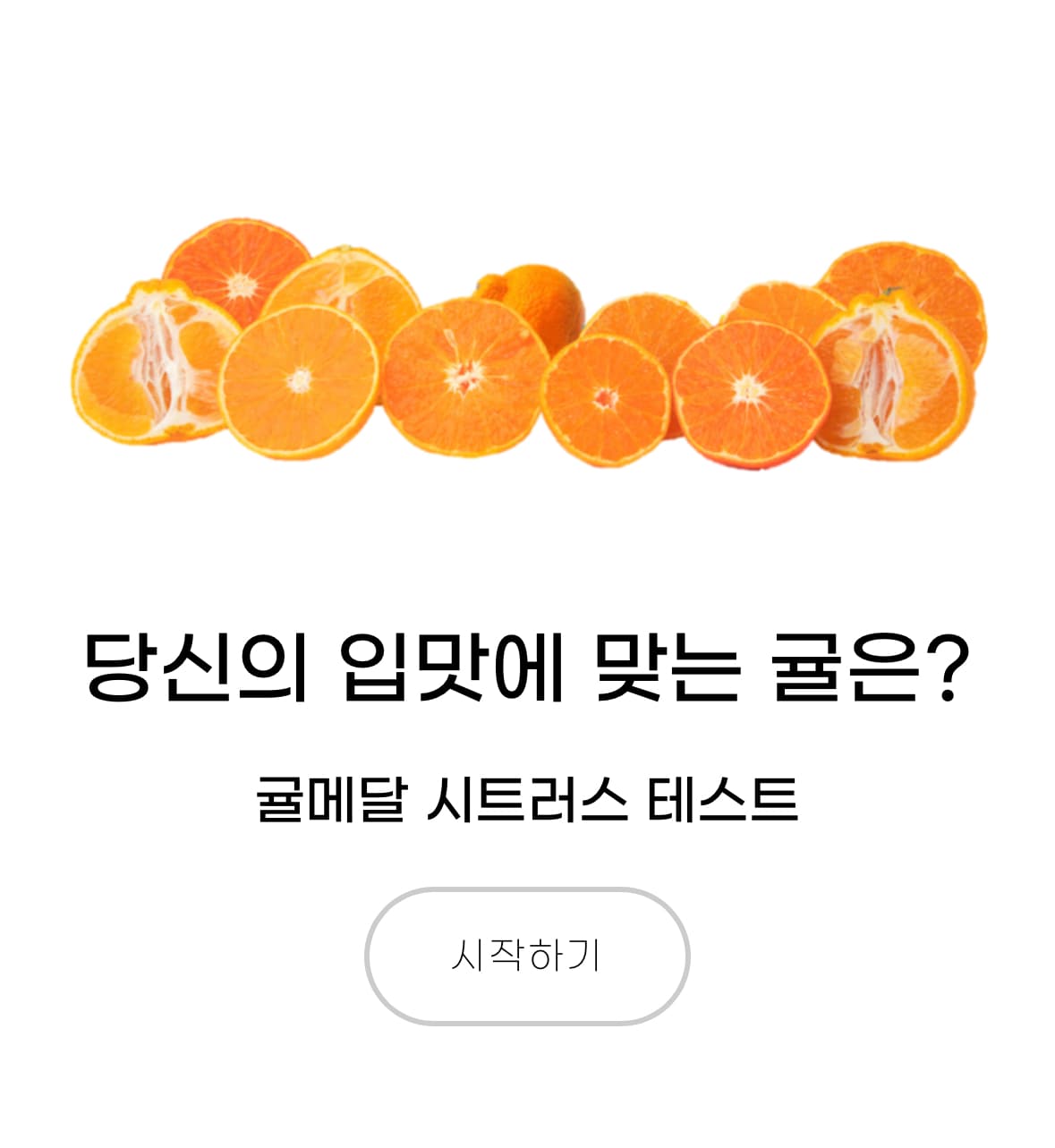 뭐하지 콘텐츠 배너 이미지