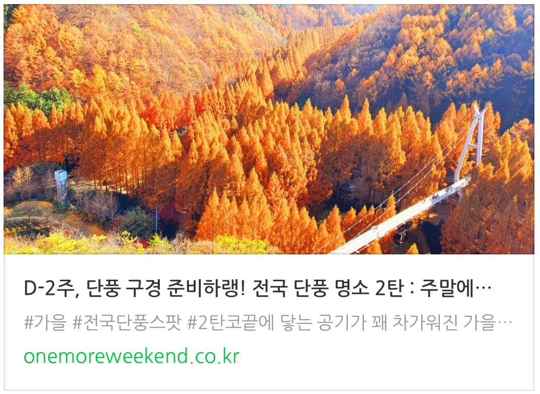 뭐하지 콘텐츠 배너 이미지