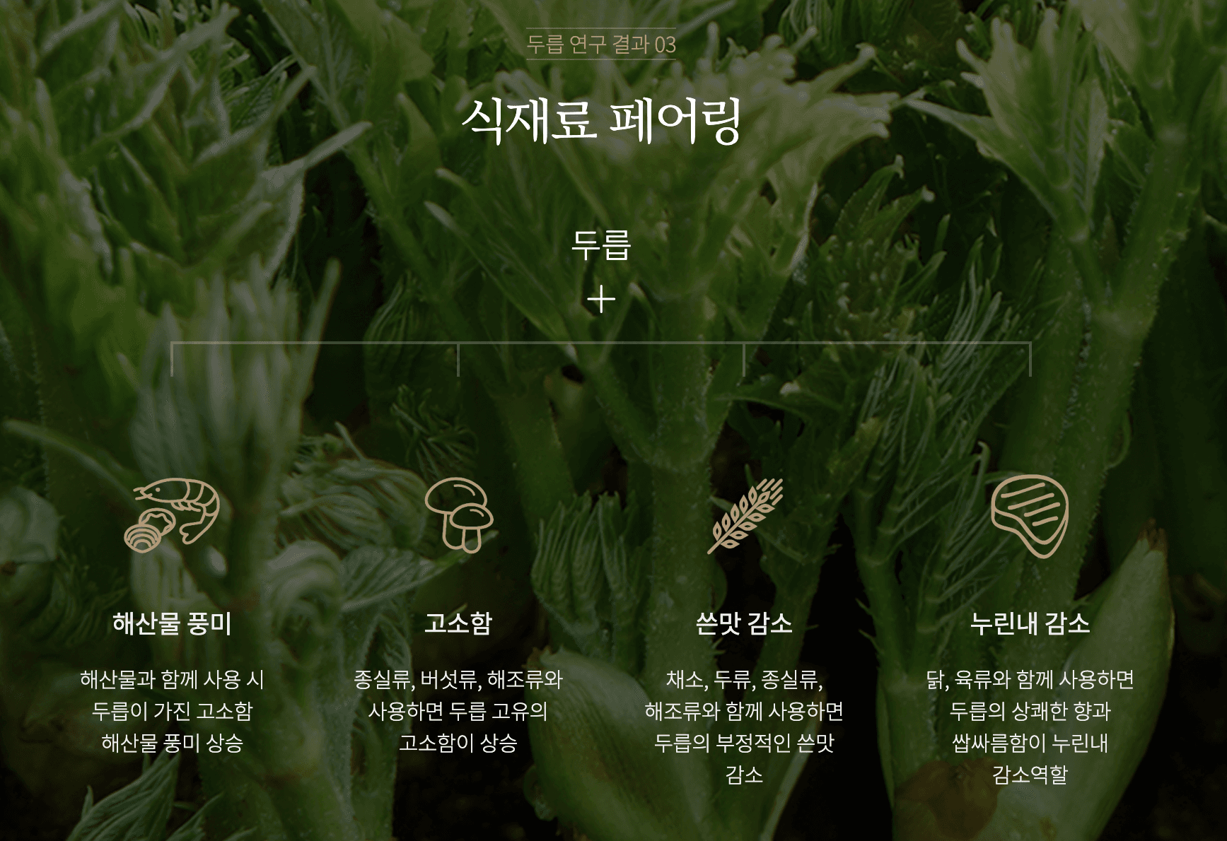 뭐하지 콘텐츠 배너 이미지