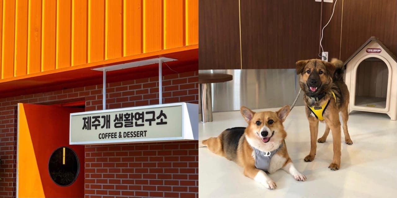 뭐하지 콘텐츠 배너 이미지