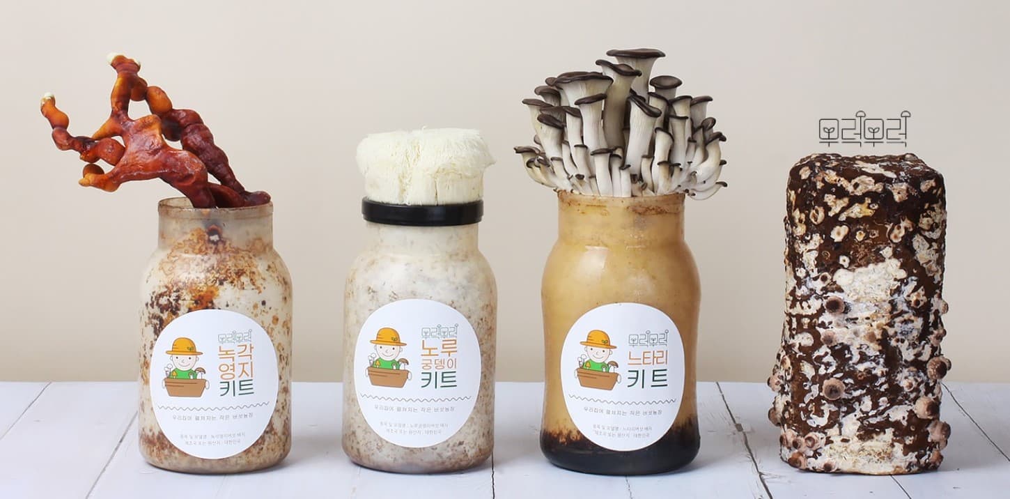 뭐하지 콘텐츠 배너 이미지