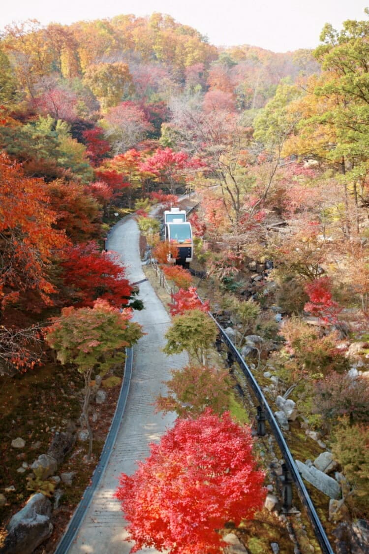 뭐하지 콘텐츠 배너 이미지