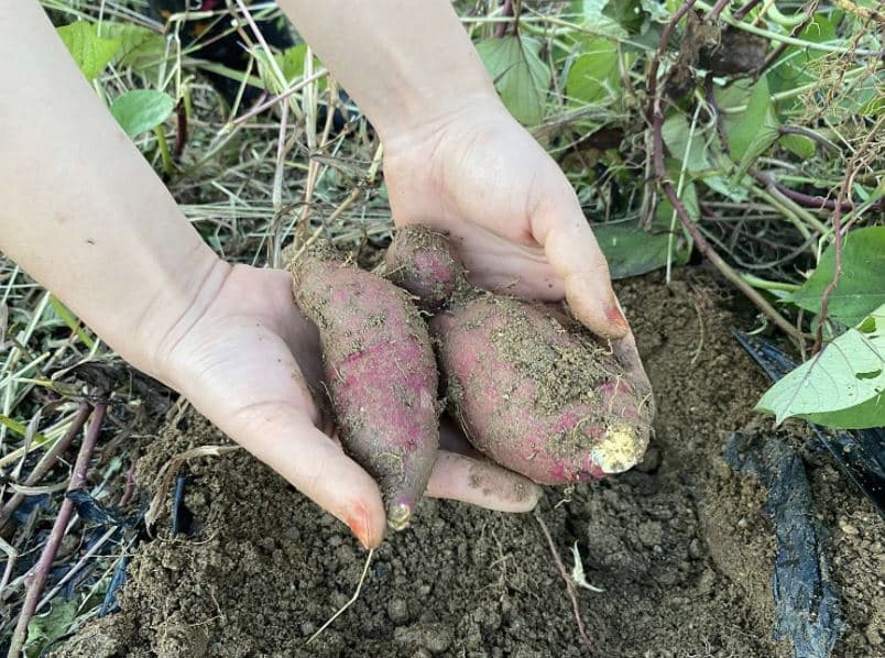 뭐하지 콘텐츠 배너 이미지