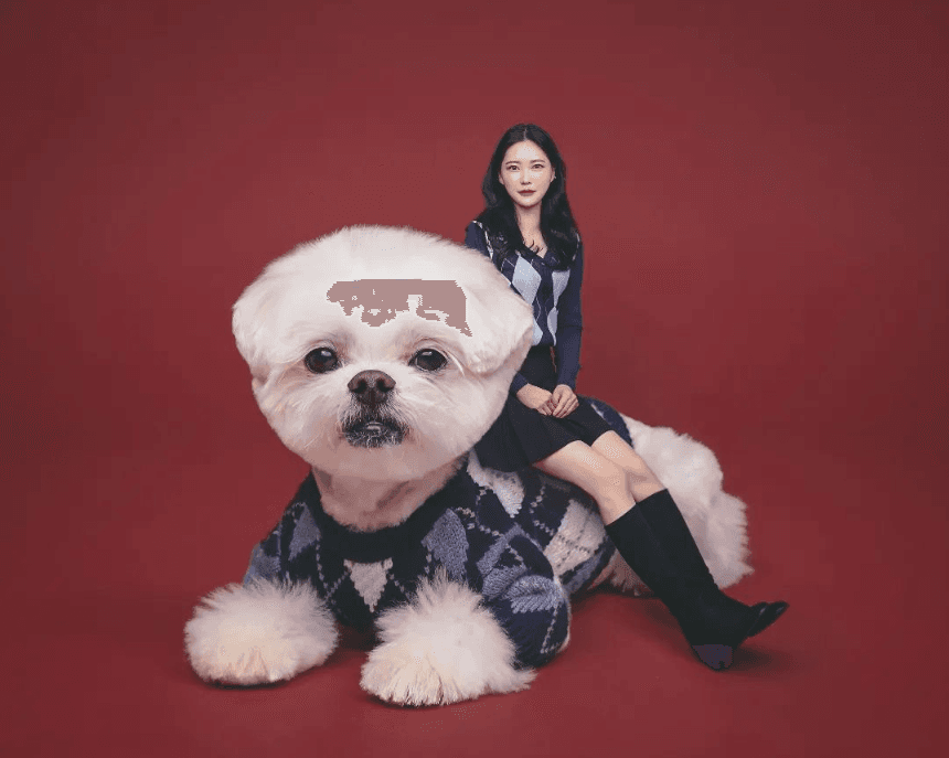 뭐하지 콘텐츠 배너 이미지