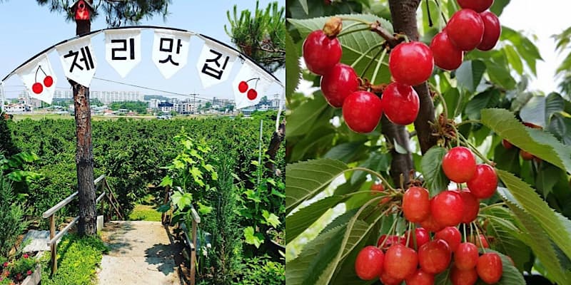 뭐하지 콘텐츠 배너 이미지