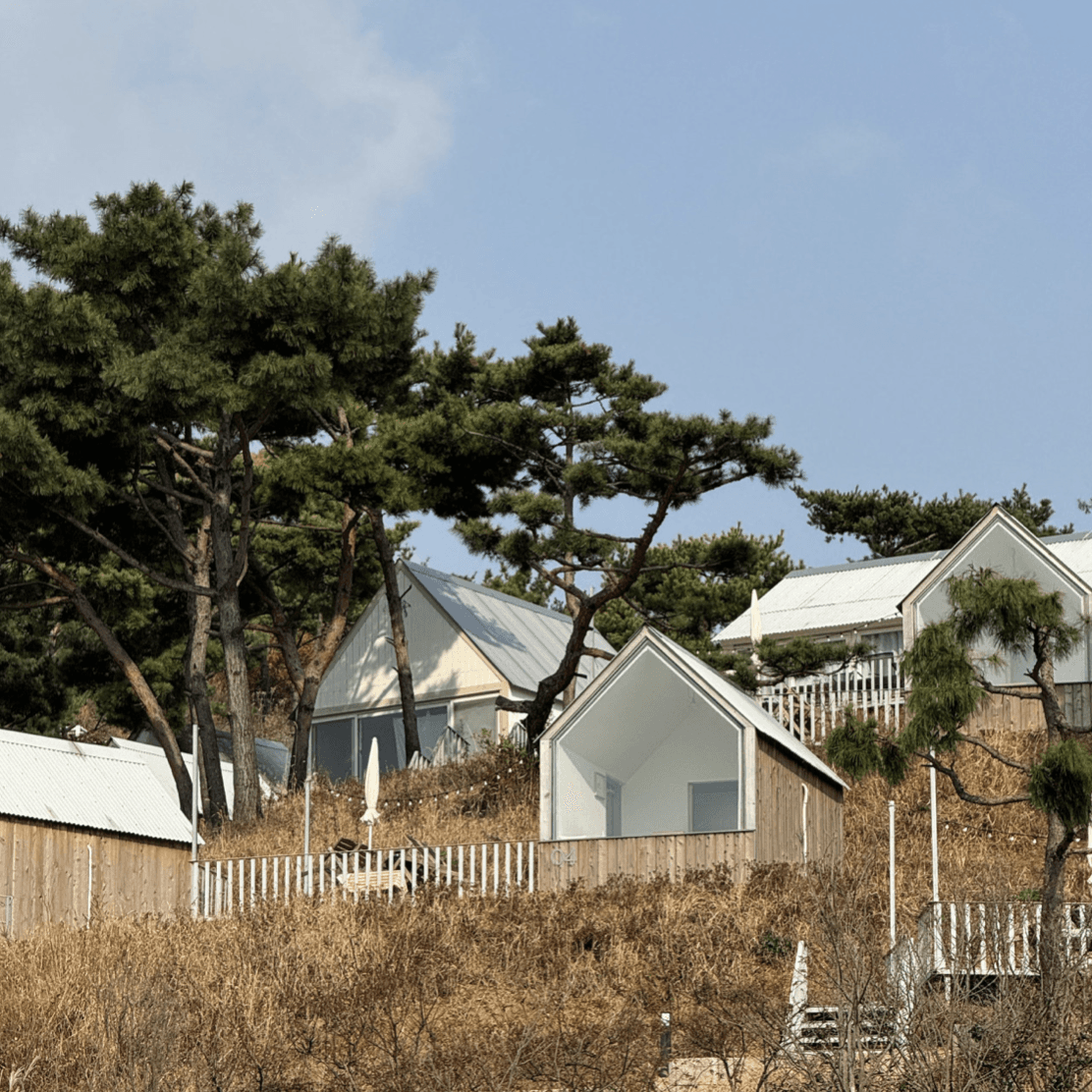뭐하지 콘텐츠 배너 이미지