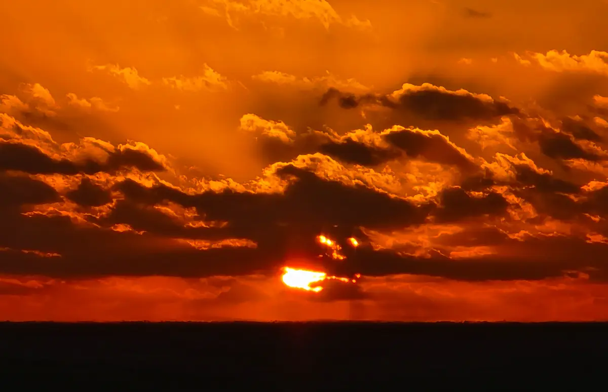해돋이 떡국으로 새해 시작! 2026 일떡찰