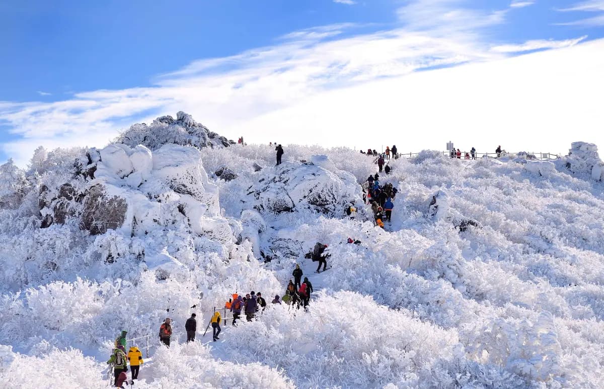 곤도라 타고 만나는 덕유산 눈꽃 기차여행