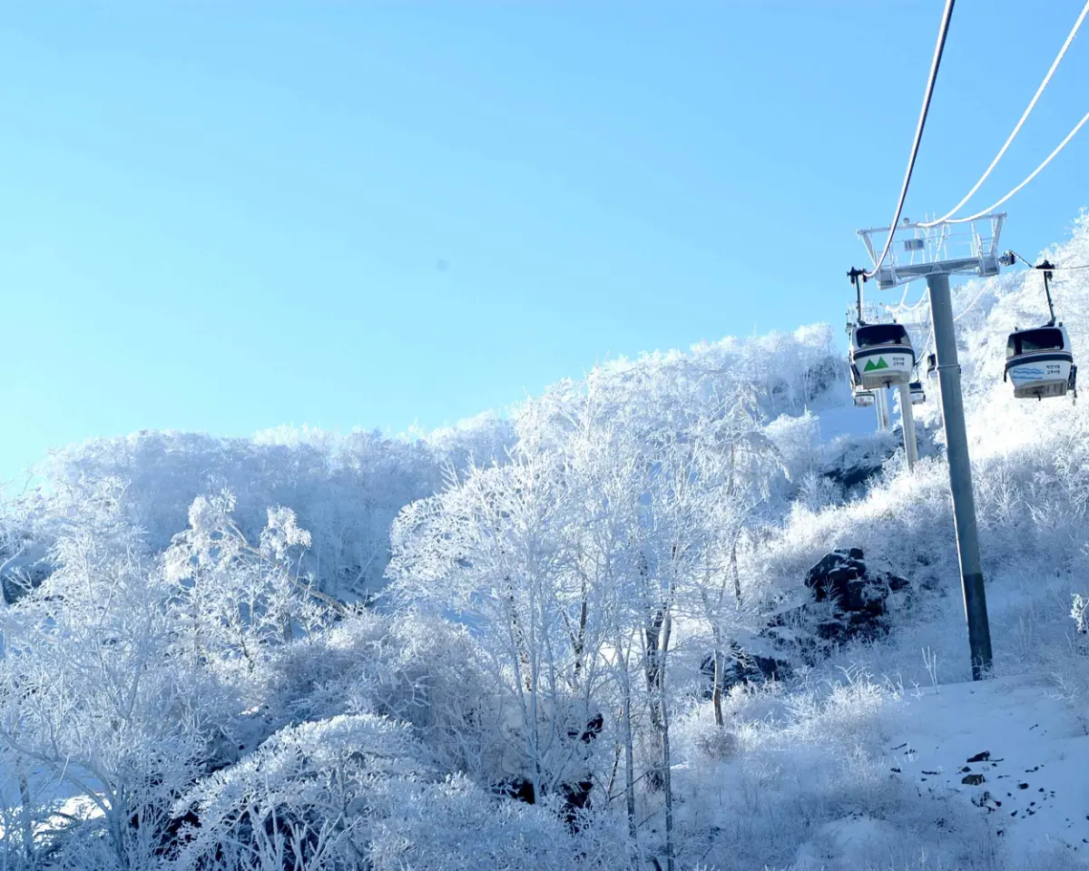 곤도라 타고 만나는 덕유산 눈꽃 기차여행