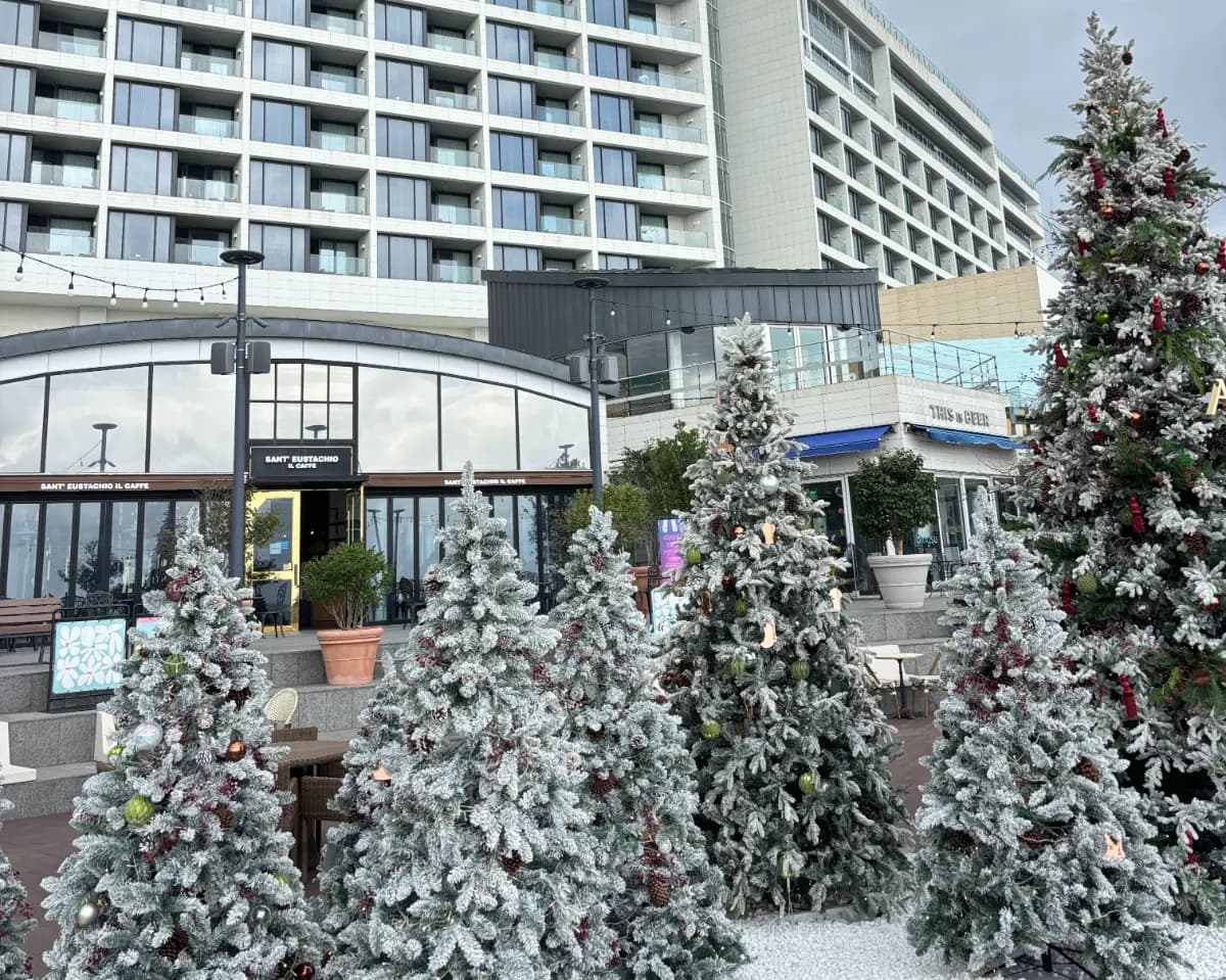 겨울 바다 보러 가자! 당일치기 부산 기차여행 