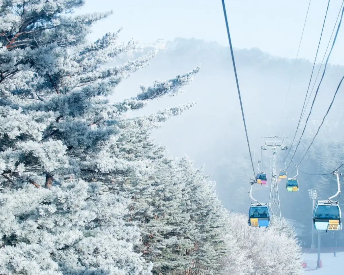 곤도라 타고 만나는 덕유산 눈꽃 기차여행