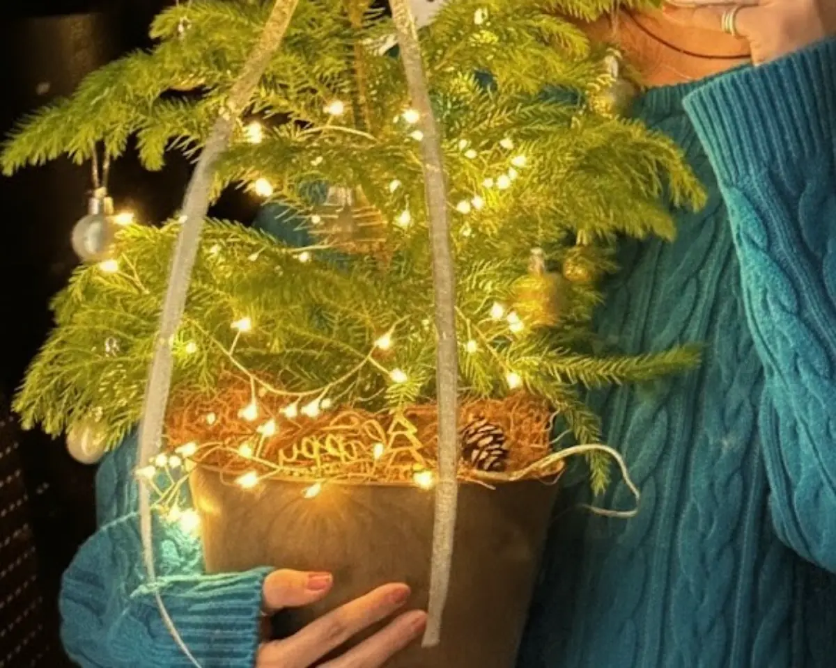 반짝이는 연말, 나만의 트리를 만들어요