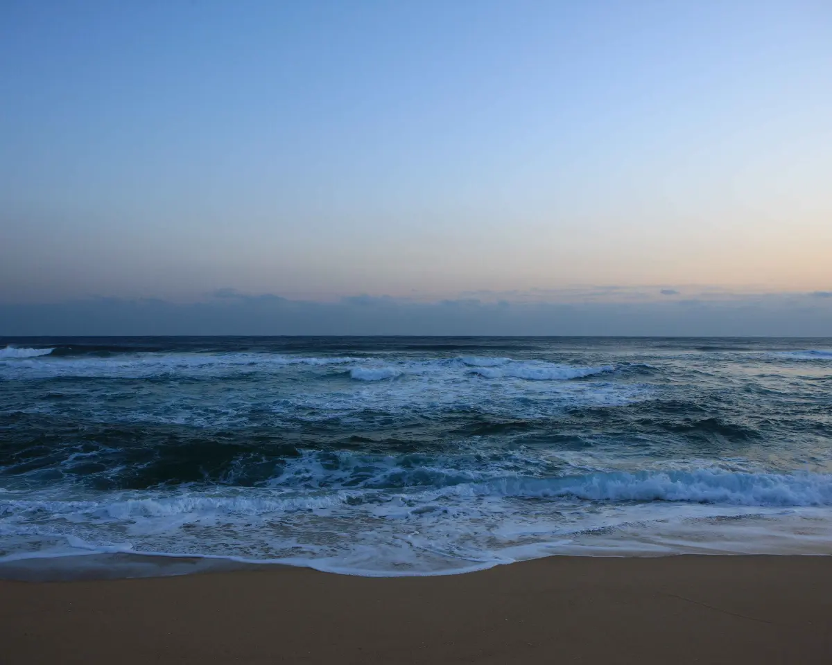 겨울 바다 보러 가자! 당일치기 강릉 기차여행 