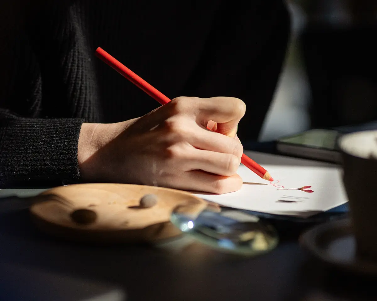 나에게 주는 용기 한 알, 씨앗 드로잉 워크숍