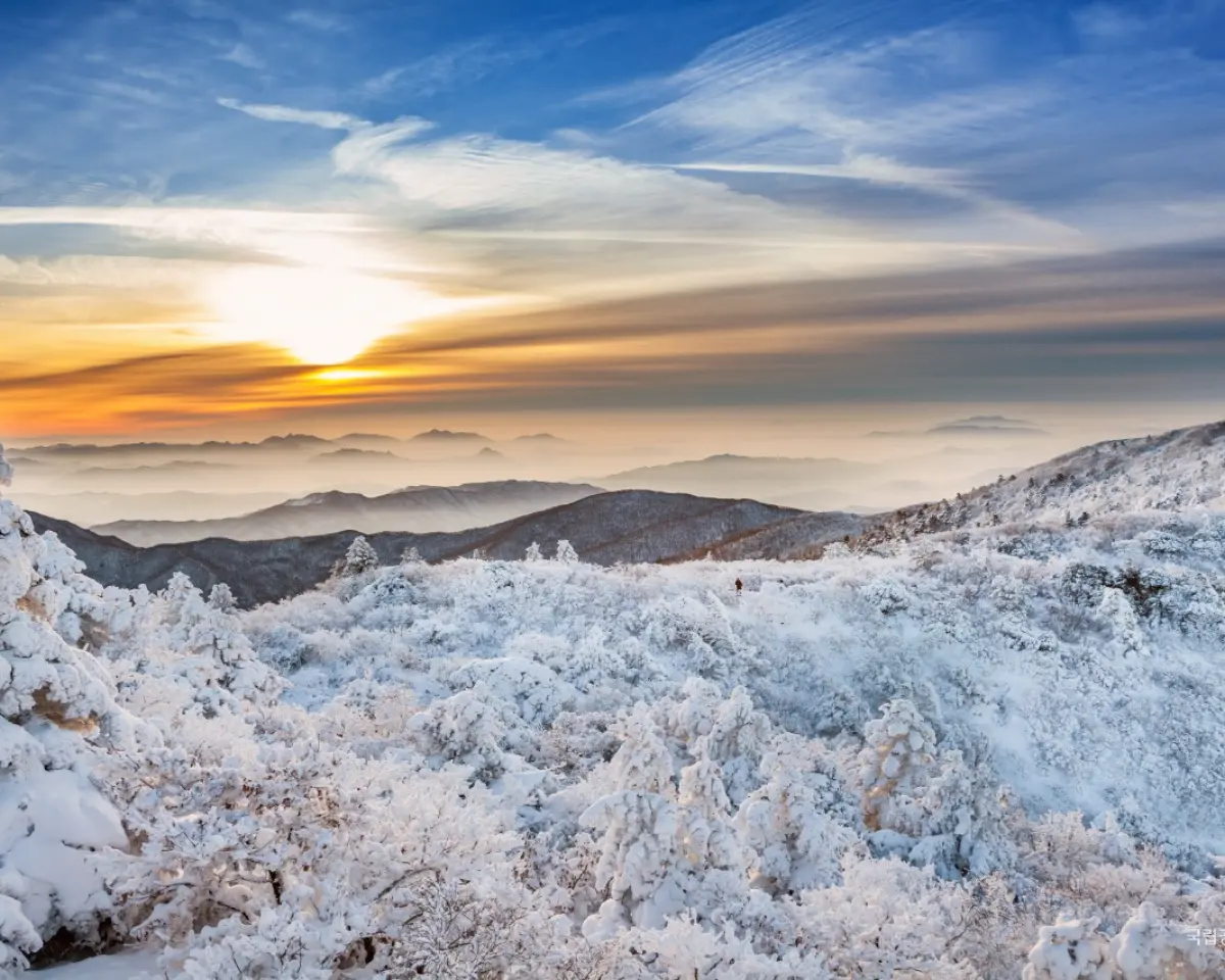 곤도라 타고 만나는 덕유산 눈꽃 기차여행