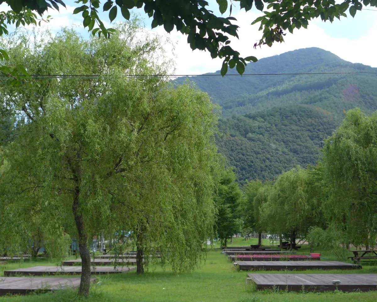 따뜻한 겨울을 위해, 포근한 뜨개질 여행