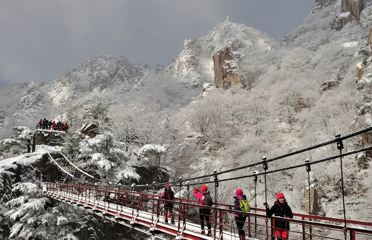 케이블카 타고 만나는 대둔산 설경 기차여행